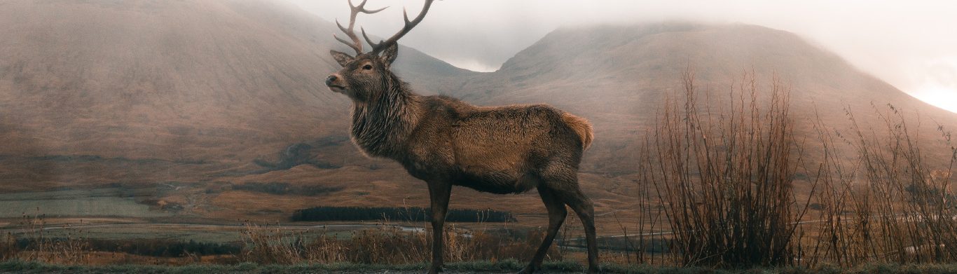 Рыбалка и Охота