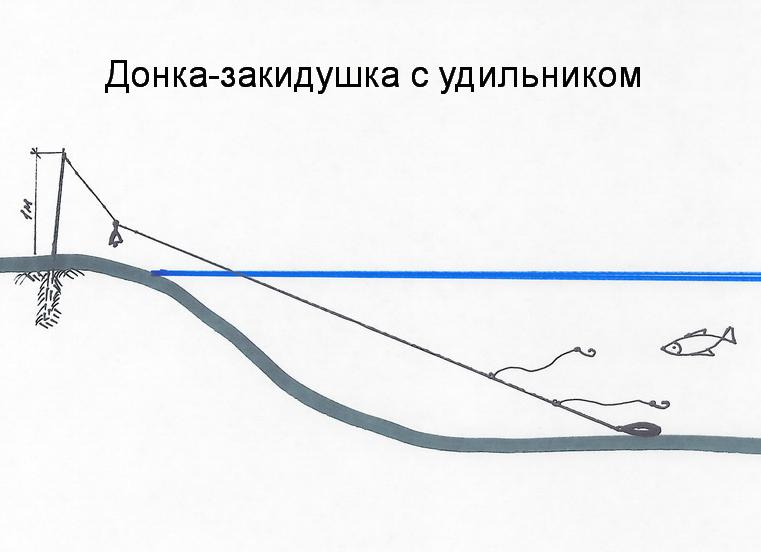Рыбалка на донку | рыбалка на карася 2020 | ловля карася на снасть инлайн | рыбалка для начинающих