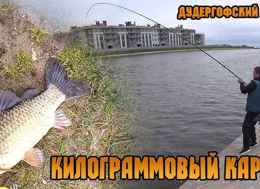 Ловля трофейных лещей на Дудергофском канале: история одного удачного выезда