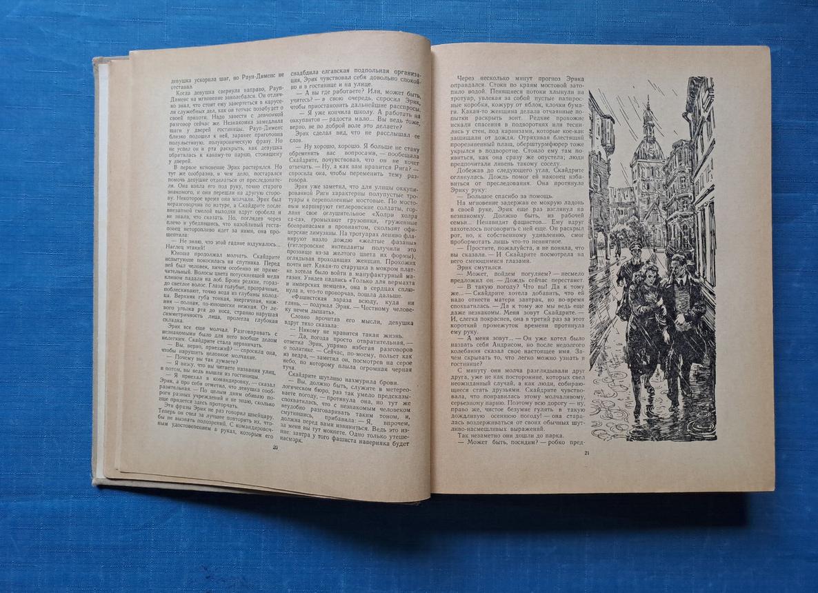 За что хищник «любит» бровки?